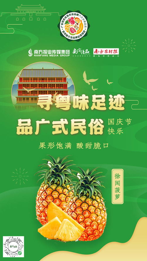中國(guó)菠蘿看廣東，廣東菠蘿看徐聞——品味“菠蘿的海”的百般風(fēng)情